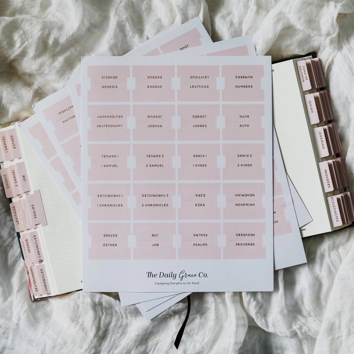 Loving God | Bible Tabs Light Pink - Loving God