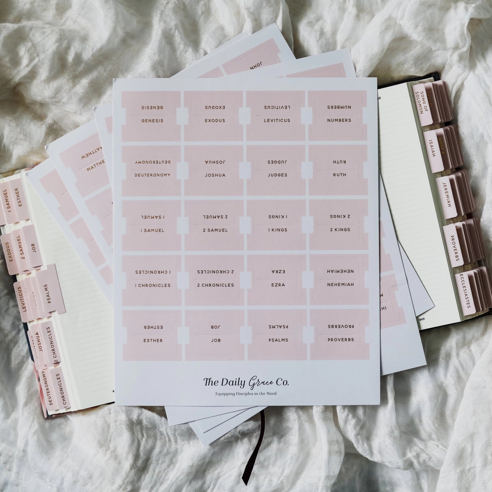 Loving God | Bible Tabs Light Pink - Loving God